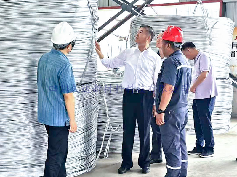  广元市市长邹自景一行到GA黄金甲新材视察